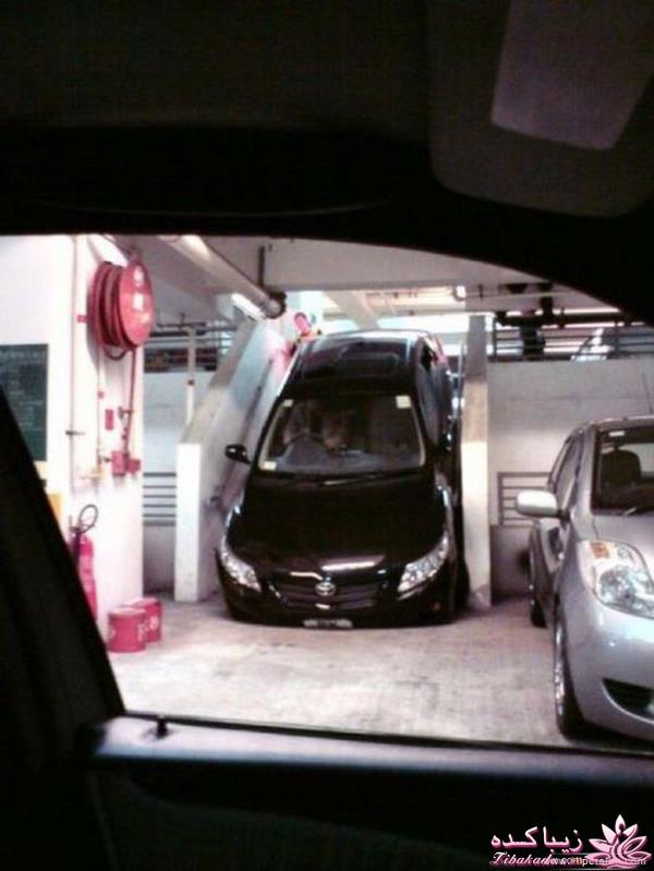 اینـــــا (خانم ها) وووووووو اونـــــــا (آقایون) ------"شوخی و خنده"